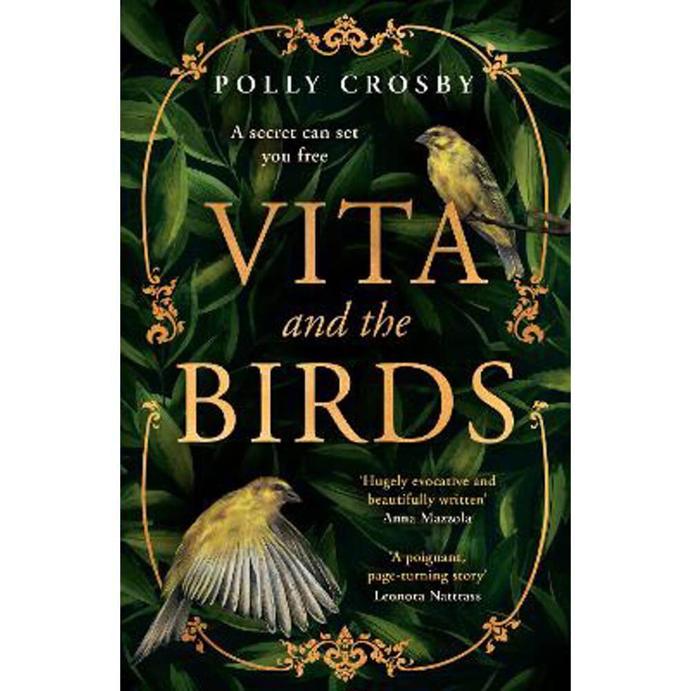 Vita and the Birds (Paperback) - Polly Crosby